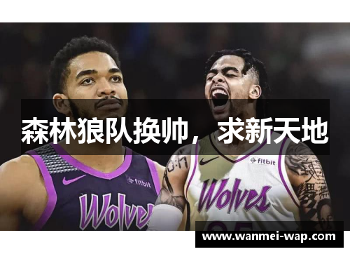 森林狼队换帅，求新天地