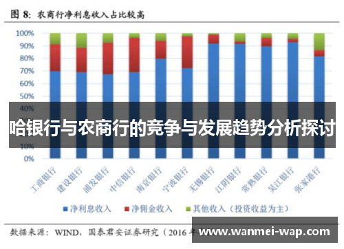 哈银行与农商行的竞争与发展趋势分析探讨