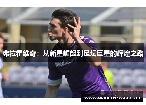 弗拉霍维奇：从新星崛起到足坛巨星的辉煌之路
